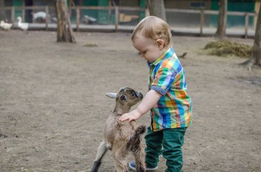 Küçük bir bebek hayvanlar ile oynuyor