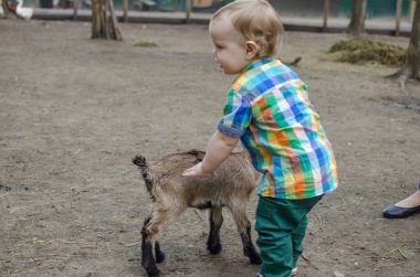 Küçük bir bebek hayvanlar ile oynuyor