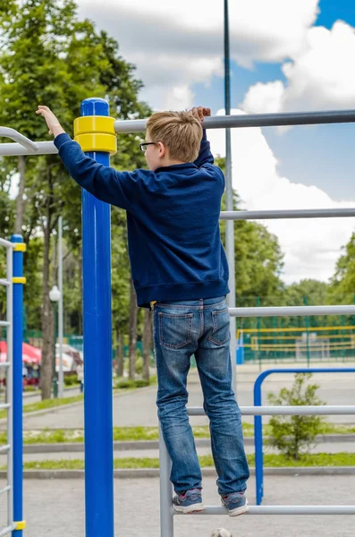 Genç barbun üzerinde