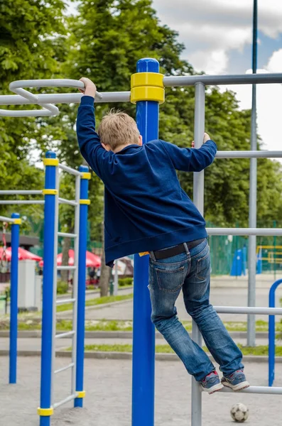 Genç barbun üzerinde