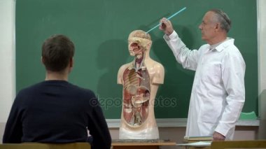 Bir üniversite profesörü insanlar baş anatomi sınıfında gösterir