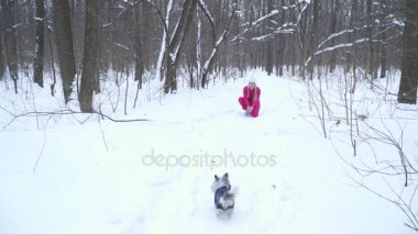 Küçük terrier köpek rinning kış ormandaki sarışın bir kadın için