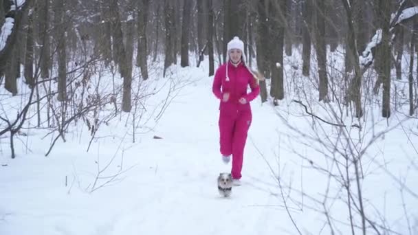 Joven mujer rubia corriendo en el bosque nevado con un perro pequeño — Vídeos de Stock