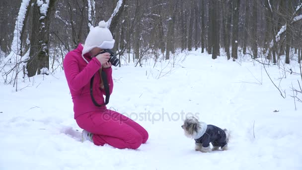 Giovane donna bionda che fa foto di piccolo cane nella foresta innevata — Video Stock