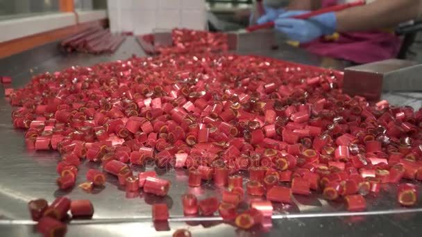 Manufacture of caramel sweets and candies,closeup of many small candies — Stock Video