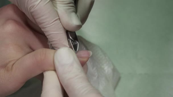 Mestre de manicure trabalhando com uma cutícula — Vídeo de Stock