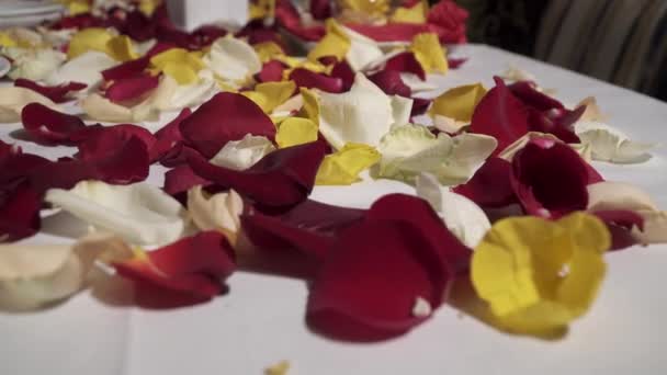 Primo piano di petali di rosa nel ristorante — Video Stock