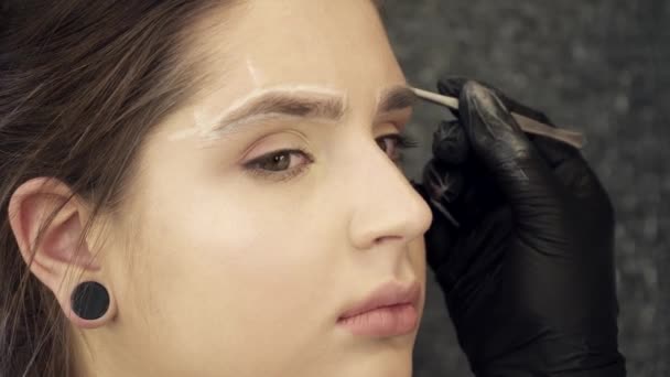 Artista esteticista arreglando la forma de las cejas para una mujer joven — Vídeo de stock