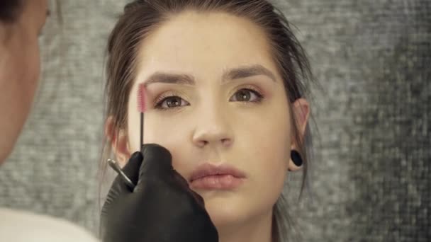 Esthéticienne faisant des sourcils pour une femme, gros plan — Video