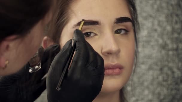 Kosmetička, malování levé obočí pro mladou ženu, closeup — Stock video