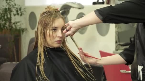 Cabeleireiro está fazendo corte de cabelo para uma jovem mulher no salão — Vídeo de Stock