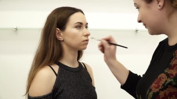 Esteticista está aplicando as sombras dos olhos escuros para uma mulher — Vídeo de Stock