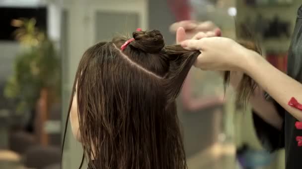 Peluquería está preparando el pelo de las mujeres para el procedimiento en el salón — Vídeo de stock