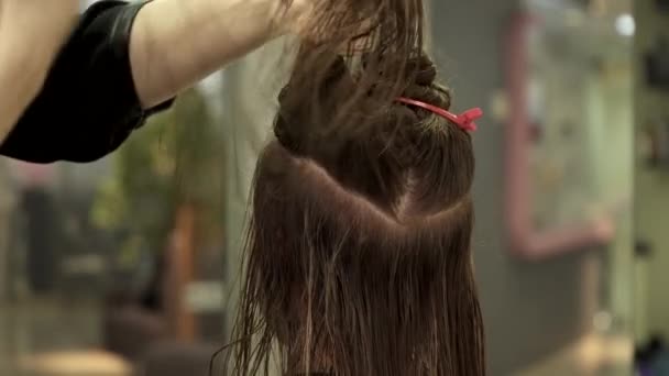 Cabeleireiro está preparando o cabelo das mulheres para o procedimento no salão de beleza — Vídeo de Stock