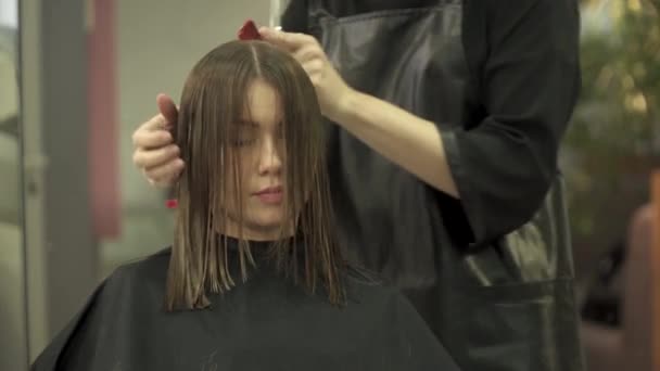 Fryzjer jest cięcie włosów dla młodej kobiety przed lustrem — Wideo stockowe
