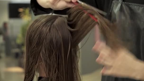 Парикмахер стрижет волосы для молодой женщины вид со спины — стоковое видео