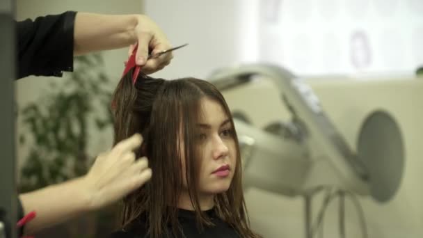 Cabeleireiro está cortando cabelo para uma jovem mulher bonita — Vídeo de Stock