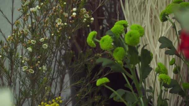 Комплект цветов и украшений в цветочном магазине — стоковое видео
