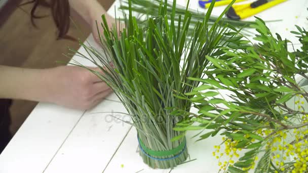 Florist is making a bouquet closeup — Stock Video