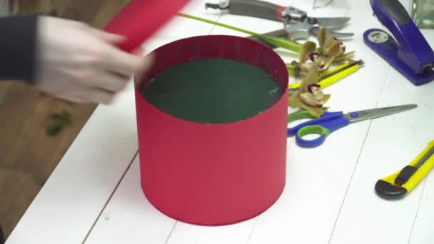 Oásis floral na caixa de papelão vermelho para flores — Vídeo de Stock