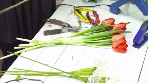 美しい花束のために準備のチューリップ — ストック動画
