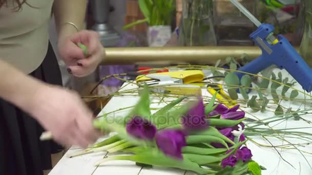 Bloemist is het verzamelen van de tulpen voor de toekomstige boeket — Stockvideo