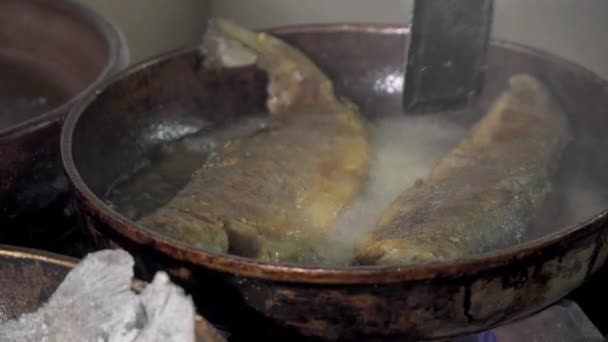 Gros plan de poisson frit dans une petite casserole — Video