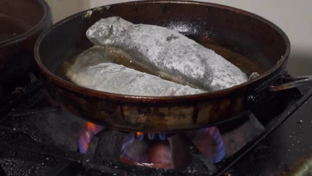 Peixe dragado está fritando em uma panela em câmera lenta — Vídeo de Stock