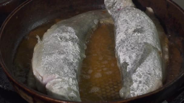 Εκβάθυνσης ψάρια τηγάνισμα σε ένα τηγάνι closeup αργή κίνηση — Αρχείο Βίντεο