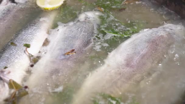 Sabroso pescado hervido en la sartén cámara lenta — Vídeos de Stock