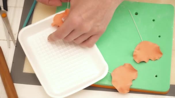 Womans hands creating flower decoration for a cake closeup — Stock Video