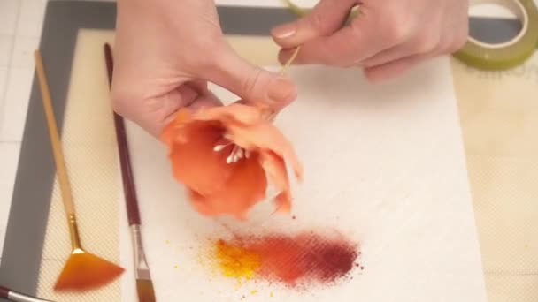 Closeup γυναικεία χέρια δημιουργώντας διακόσμηση για ένα κέικ — Αρχείο Βίντεο