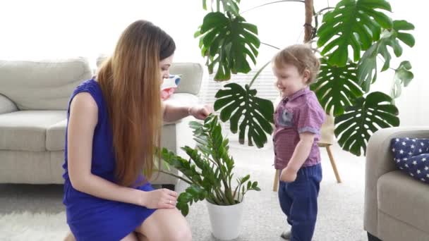 Jovem mãe mostrando seu filho uma flor câmera lenta — Vídeo de Stock