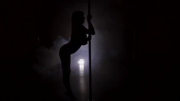 Silhouette of a dancing young woman on the pole with smoke — Stock Video