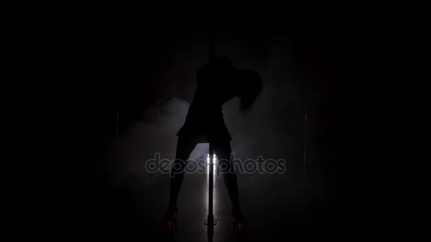 Young slim womans silhouette dancing near the pole in the dark room — Stock Video