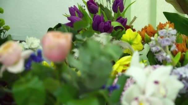 Uppsättning av blommor för de framtida buketterna — Stockvideo