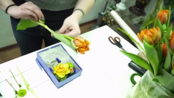 Bir buket Lale ile kutusunda yapma çiçekçi — Stok video