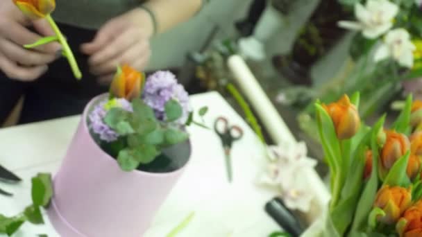 Florist creating a beautiful bouquet with orange tulps — Stock Video