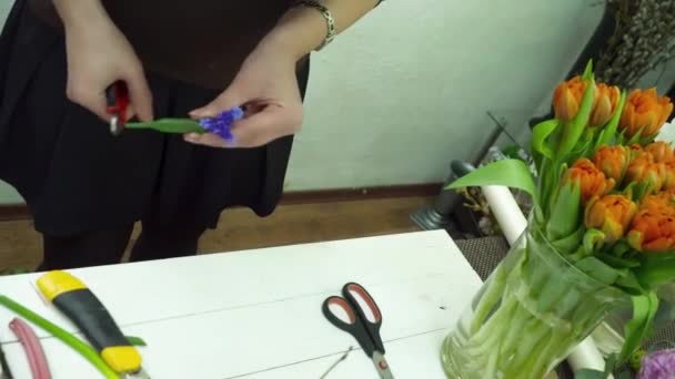 Floristería haciendo un ramo en la olla de gesso en la tienda — Vídeo de stock