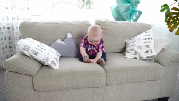 Small cute baby boy sitting on the sofa and looking around — Stock Video