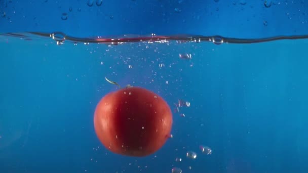 Primer plano de tomate fresco cayendo en el agua en el fondo azul cámara lenta — Vídeos de Stock