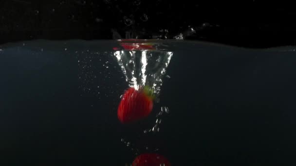 Närbild av jordgubb falla i vatten på svart backgrond slow motion — Stockvideo