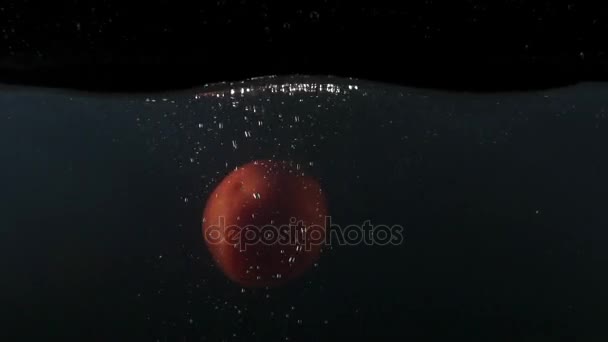 Primer plano de tomate rojo cayendo en el agua en el fondo negro cámara lenta — Vídeos de Stock
