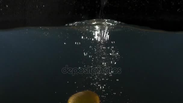 Close-up van verse kiwi vallen in water op de zwarte backgrond slow motion — Stockvideo