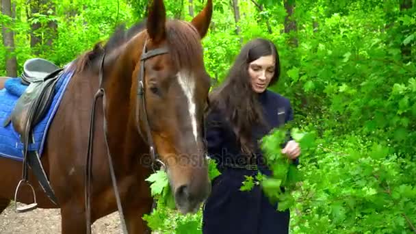 Young woman feeding the horse in the forest closeup — Stock Video