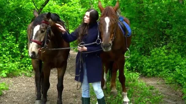 Mujer joven con dos caballos en el bosque durante el verano — Vídeo de stock