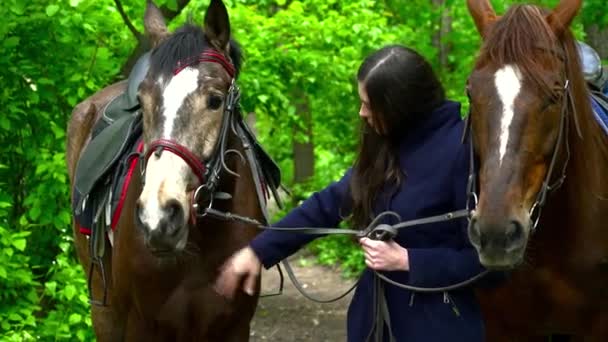 Mujer joven con dos caballos en el bosque de cerca — Vídeos de Stock