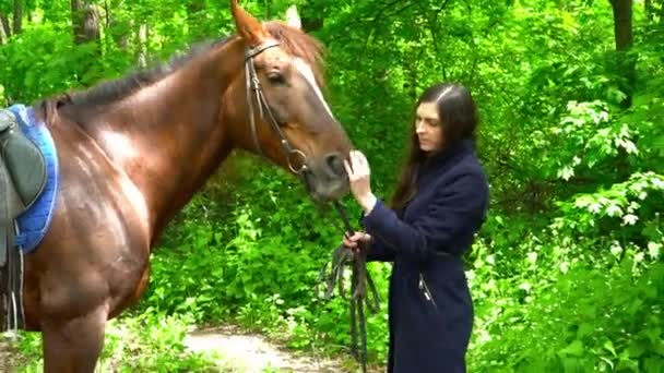 Młoda kobieta głaskanie konia w lesie — Wideo stockowe