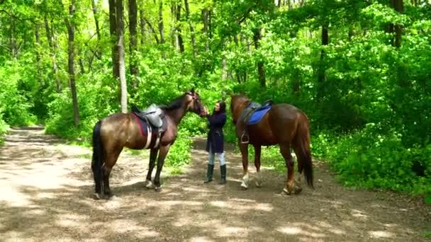 Mujer joven caminando con dos caballos en el bosque durante el verano — Vídeo de stock