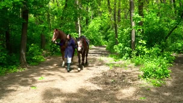 Mujer caminando con dos caballos en el bosque verde — Vídeos de Stock